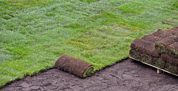 LITTLE'S LANDSCAPING LLC