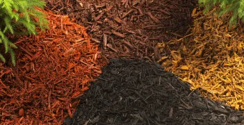 LITTLE'S LANDSCAPING LLC